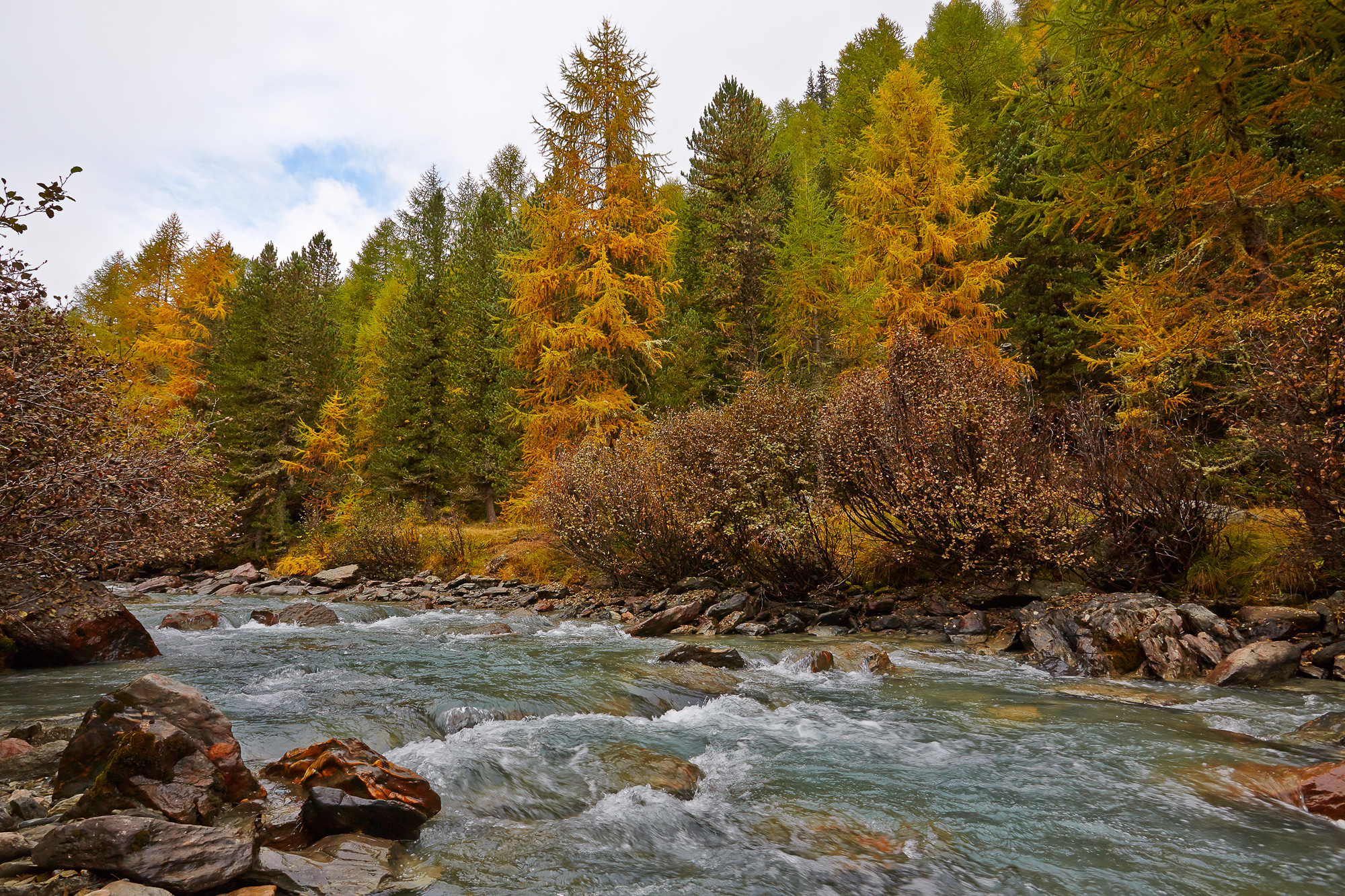 Lerchen im Herbst, Südtirol