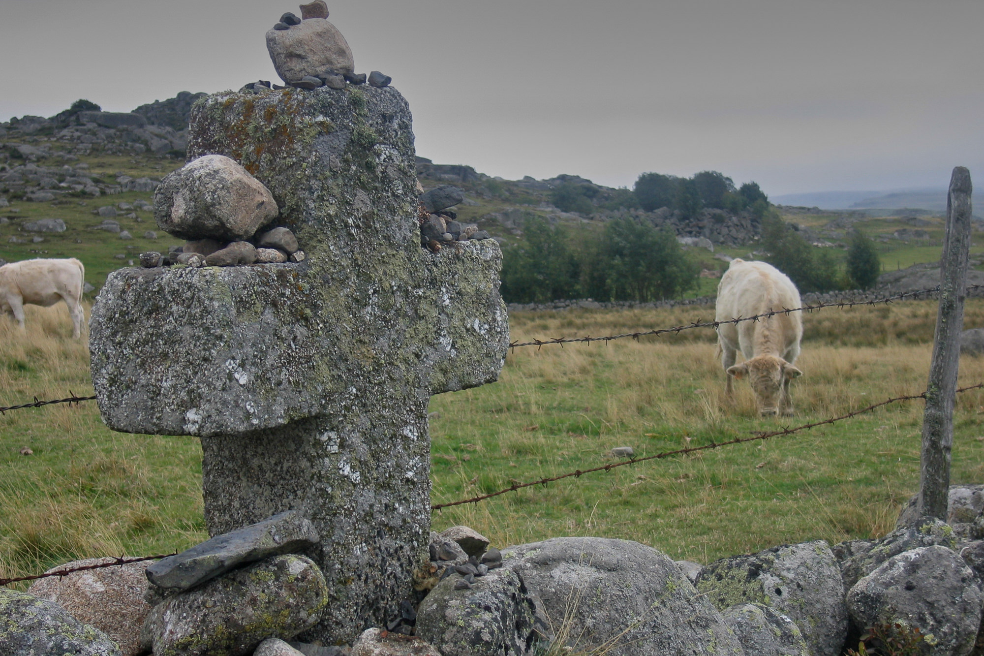 Tag 1: Weg durch das Plateau von Aubrac