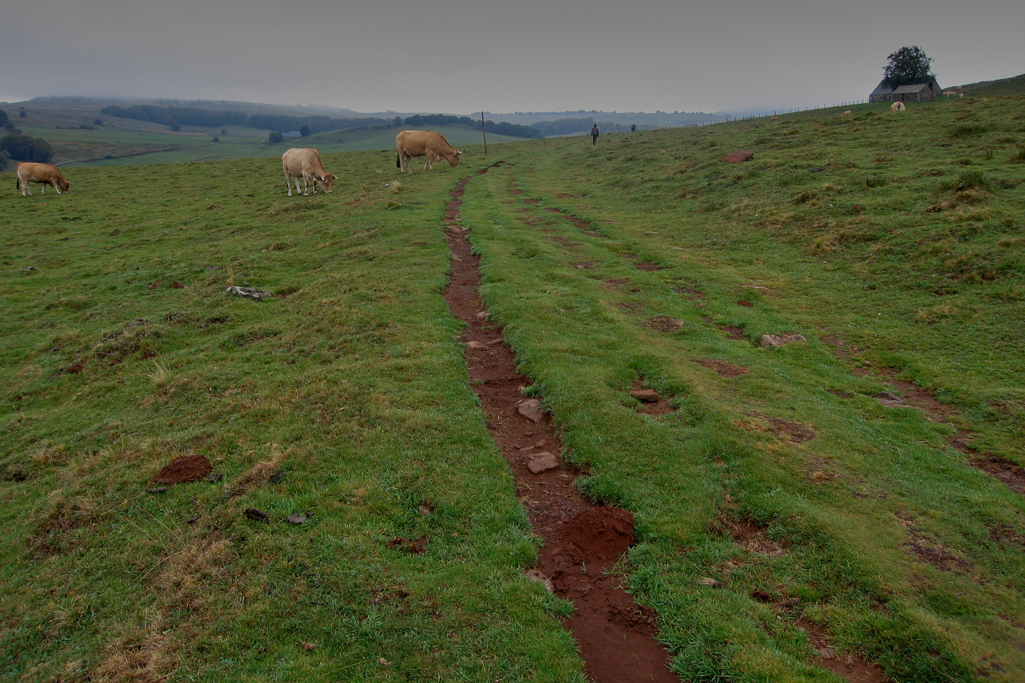 Tag 2: Weg von Nasbinals nach St-Chely-d'Aubrac