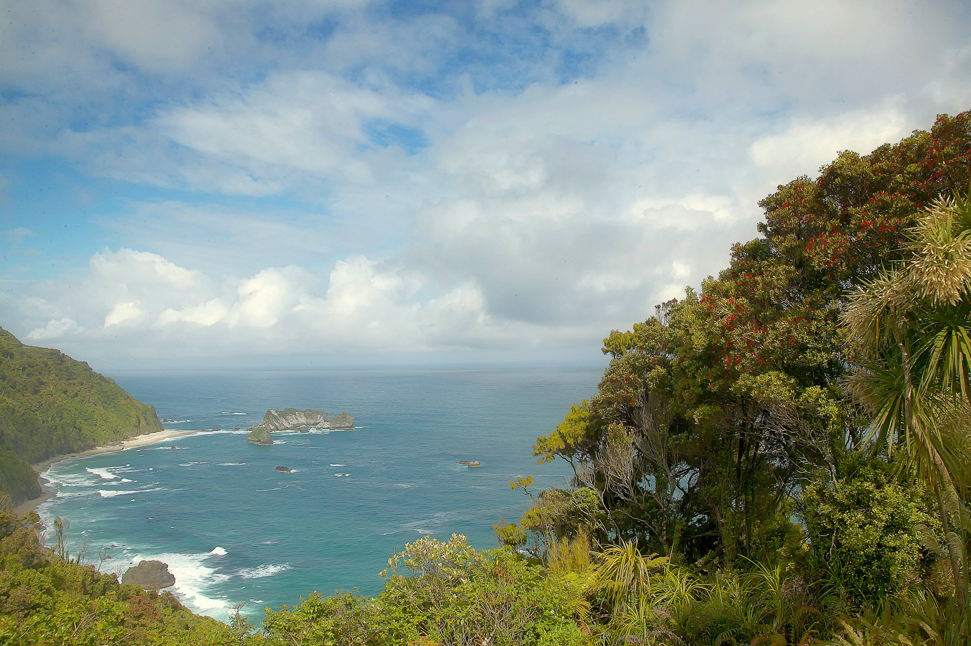 Küste der Südinsel