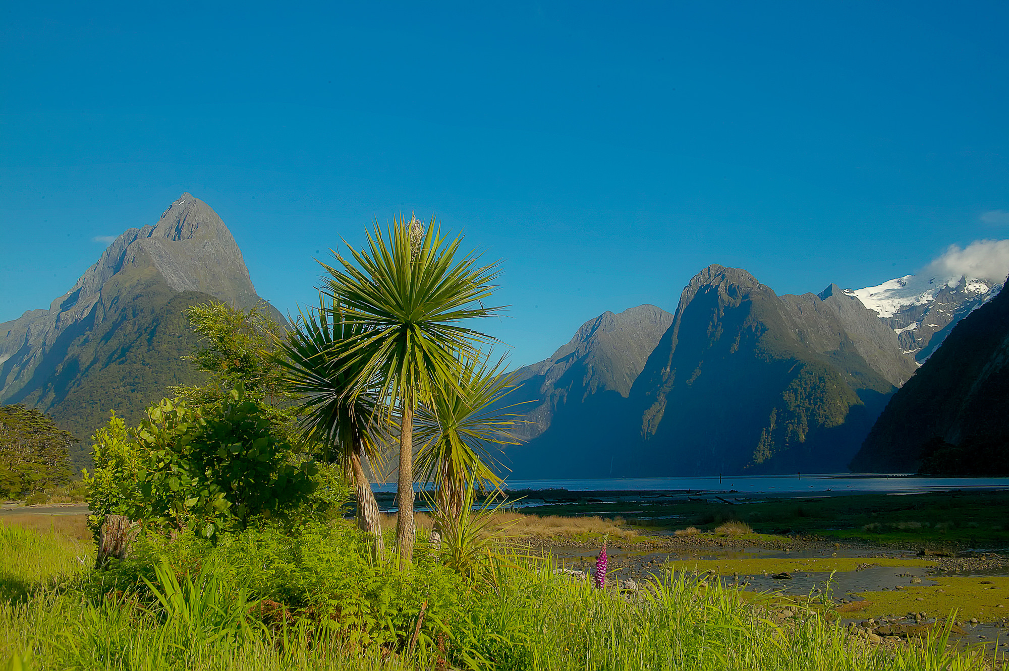 Milford Sound und Mitre Peak