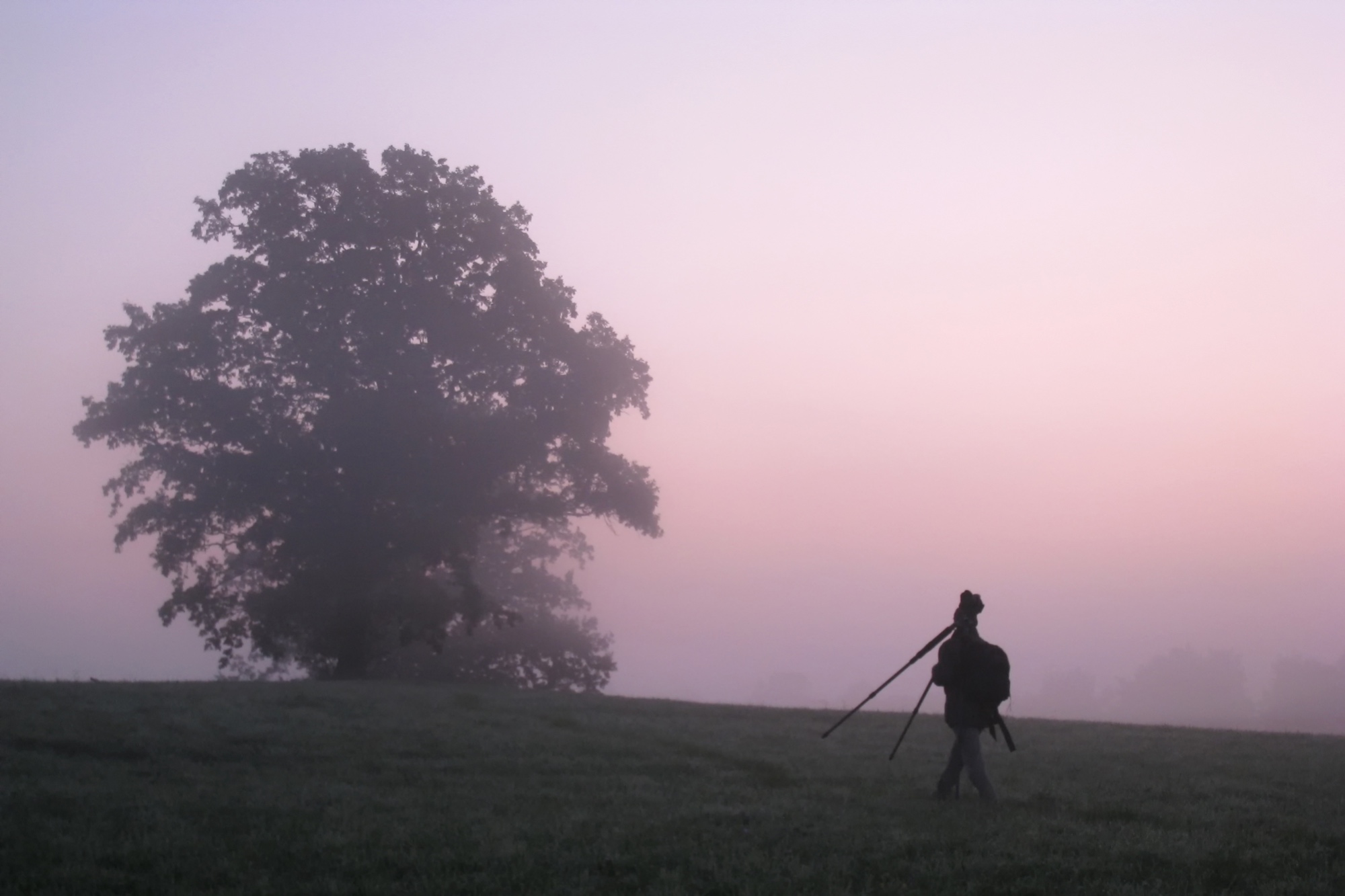 Der frühe Vogel fängt den Wurm ...