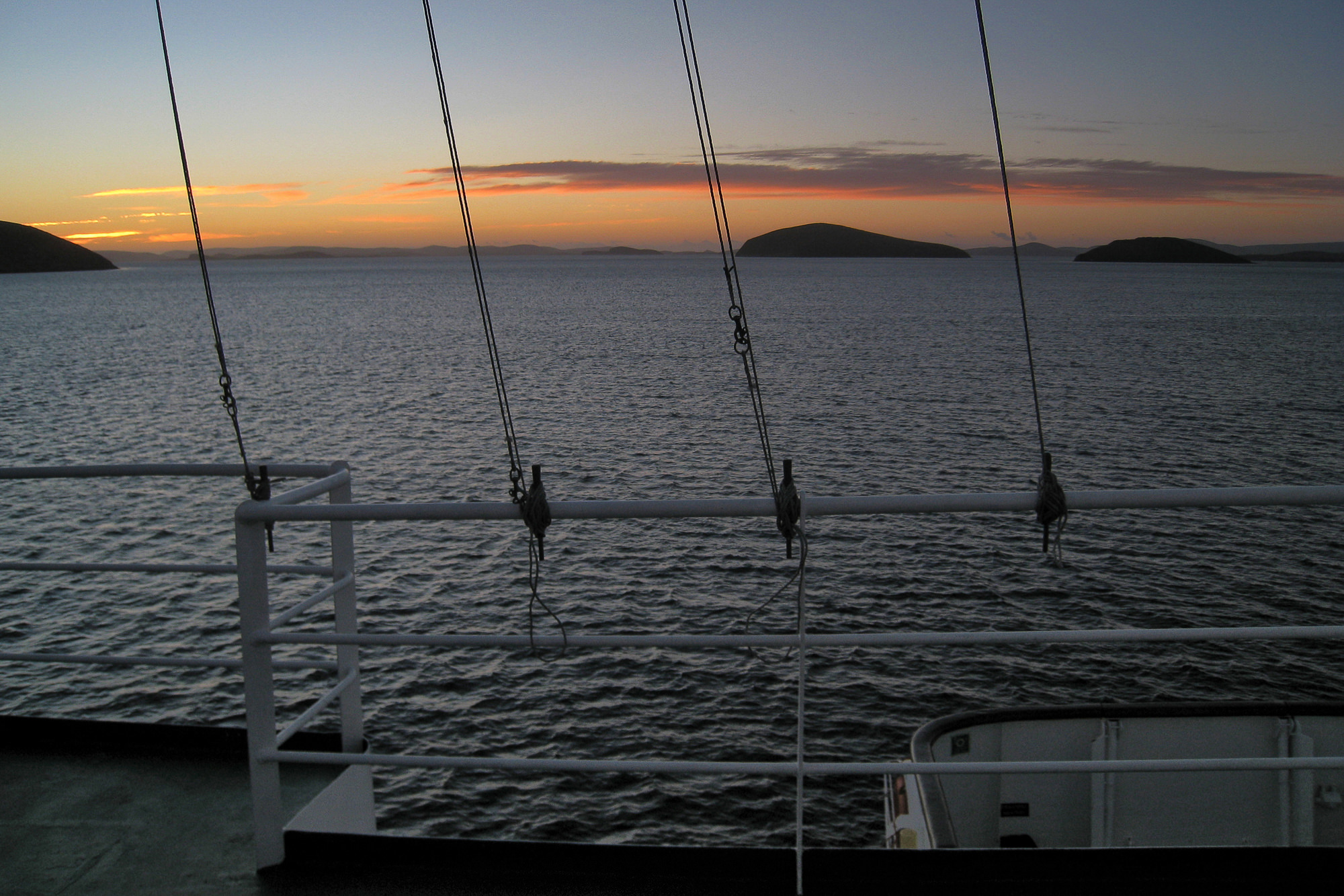 first morning on New Island, Falklands