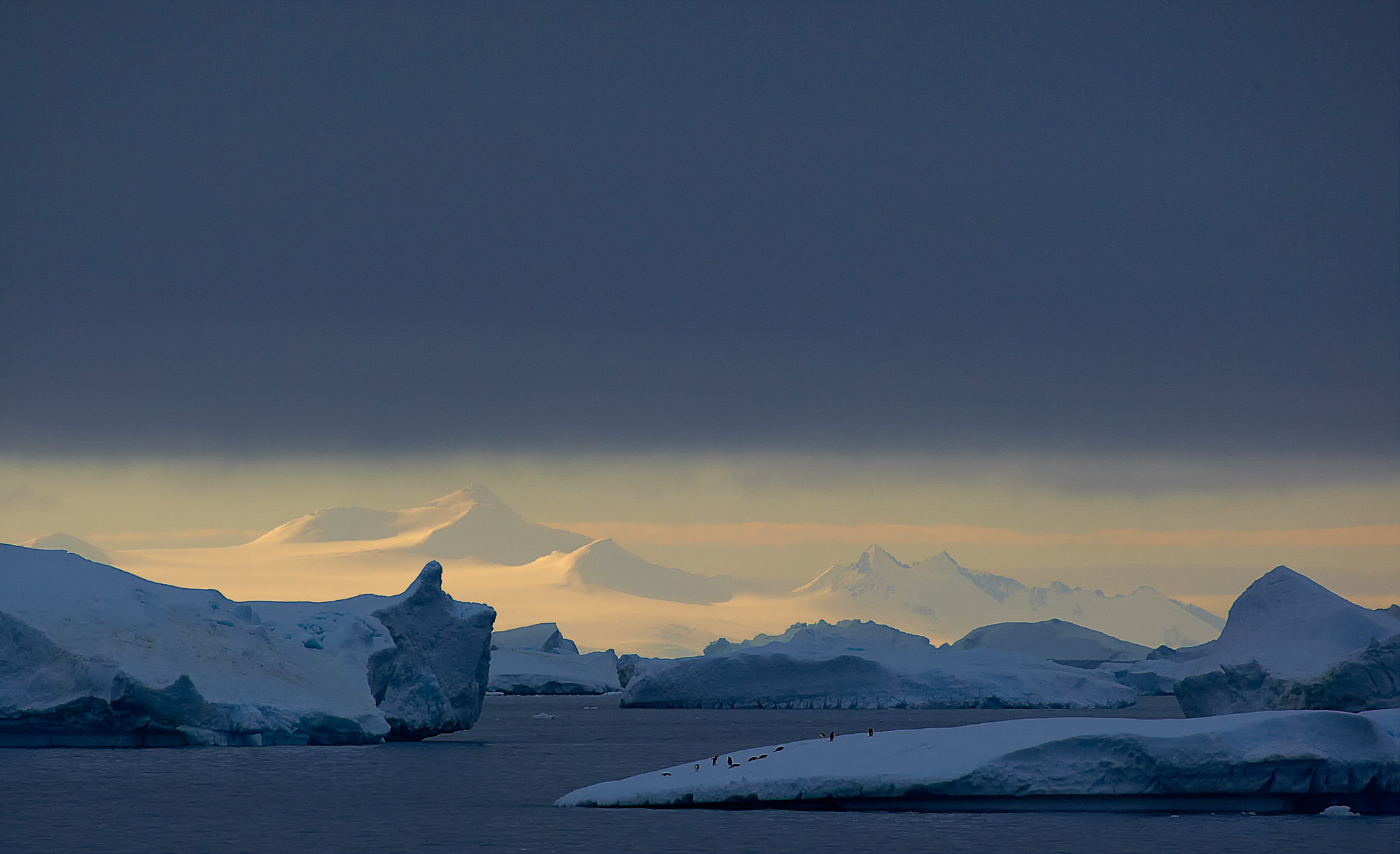 iceberg in the Antarctic Sound