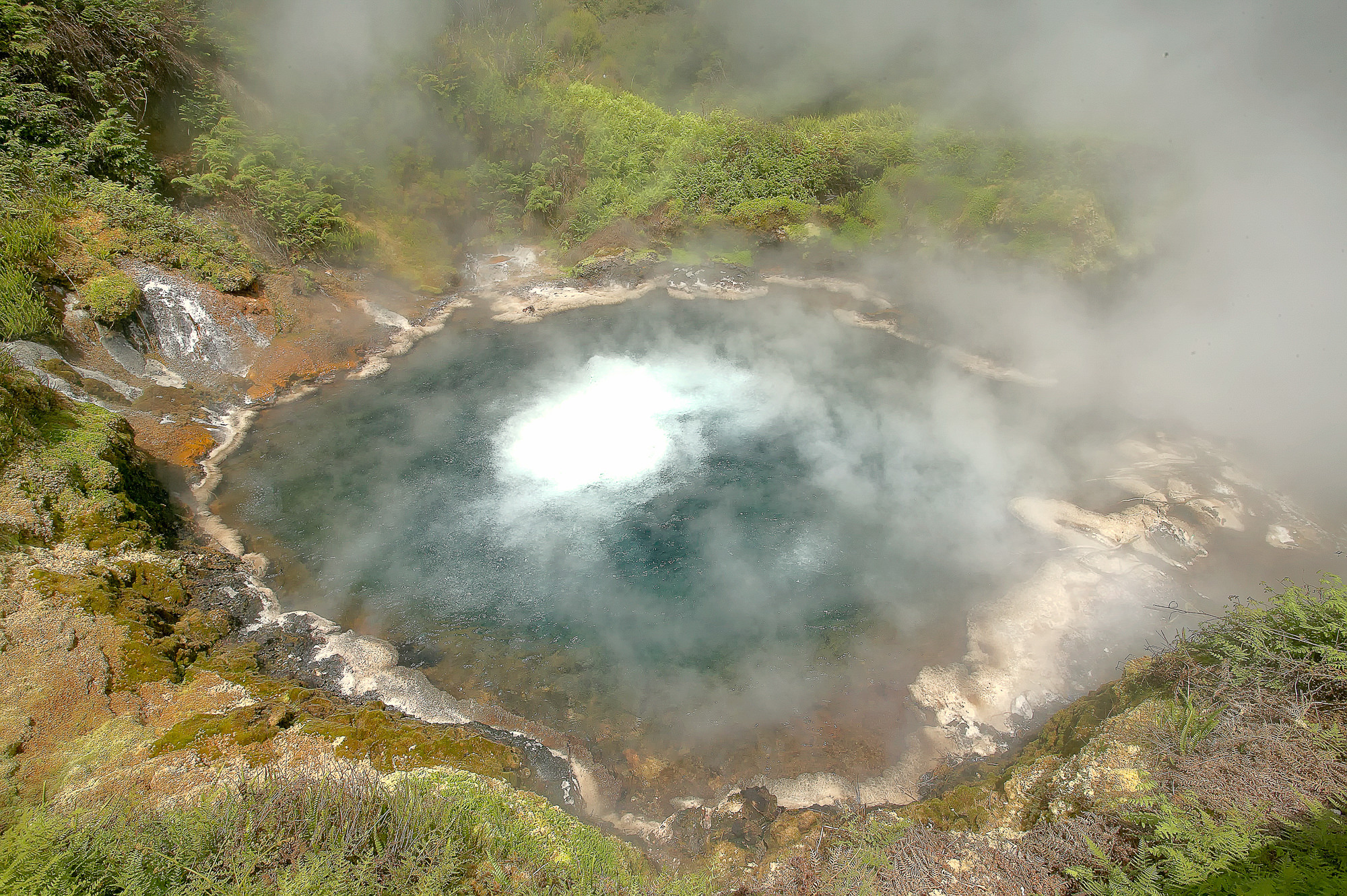 hot springs at Rotorua