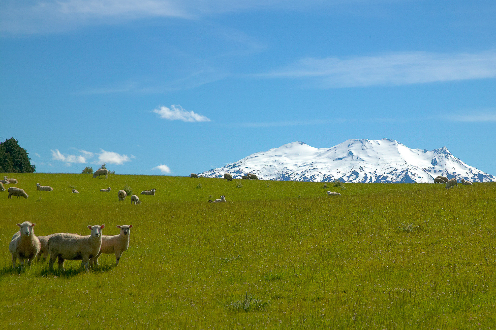 on the way to Wellington