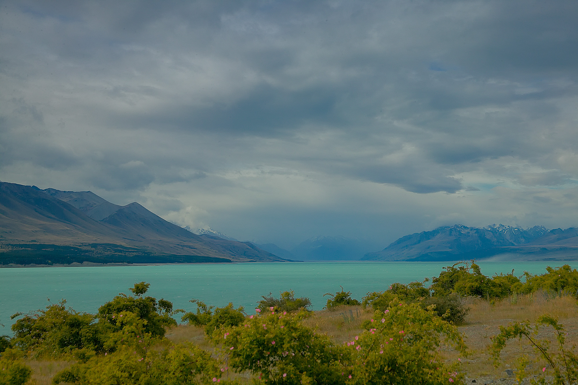 lake Tekapo