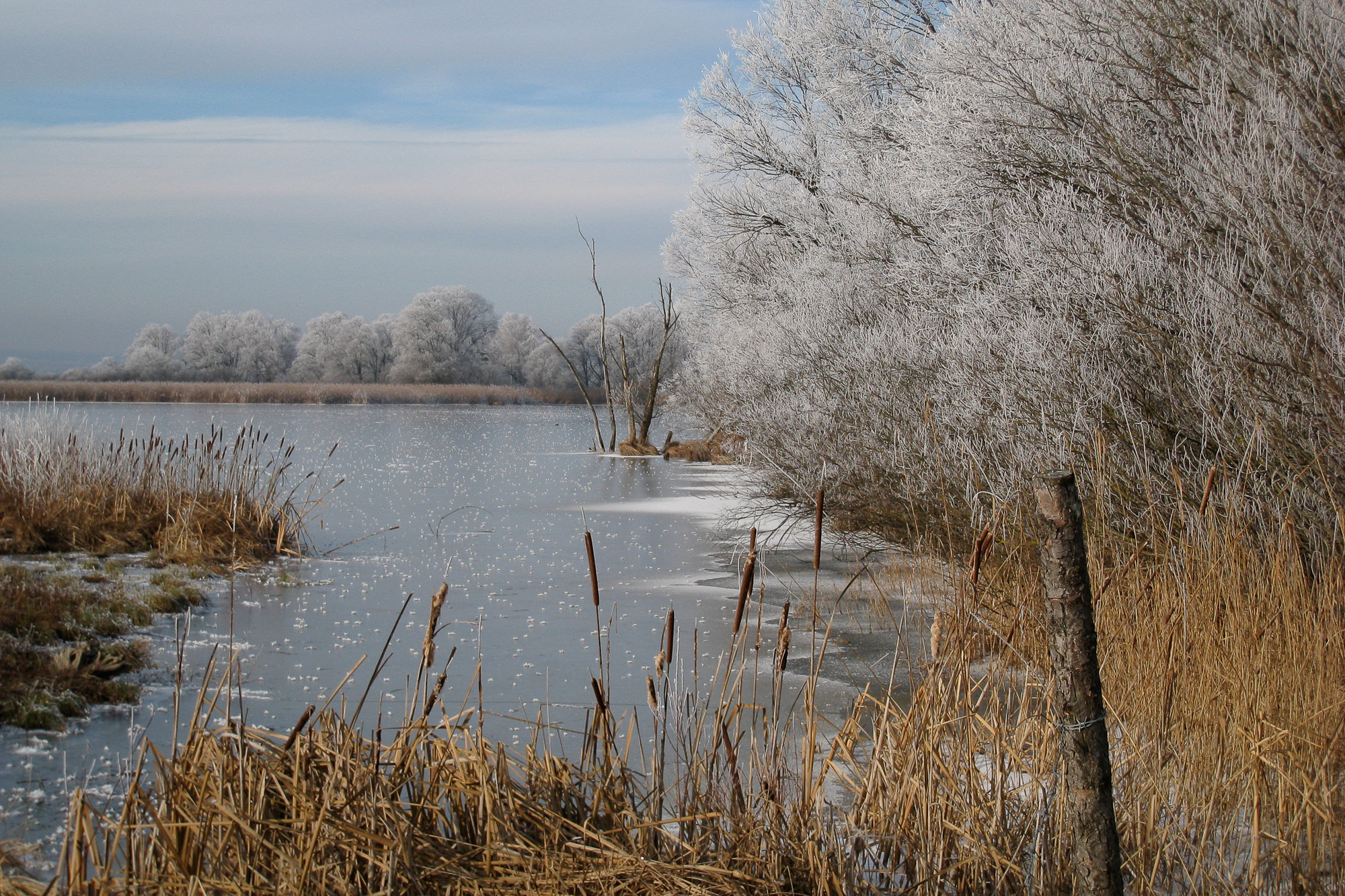 hoarfrost on lake Ammersee