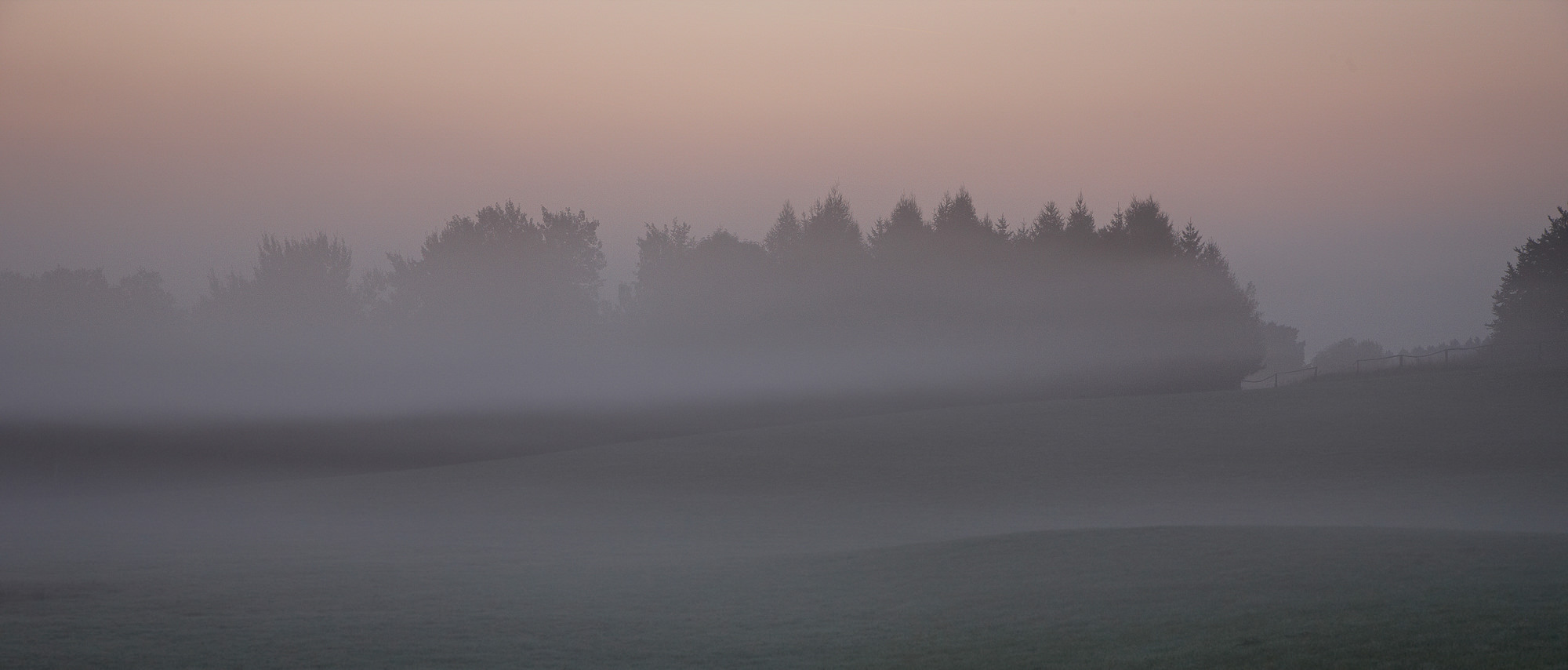 morning mood in the moor