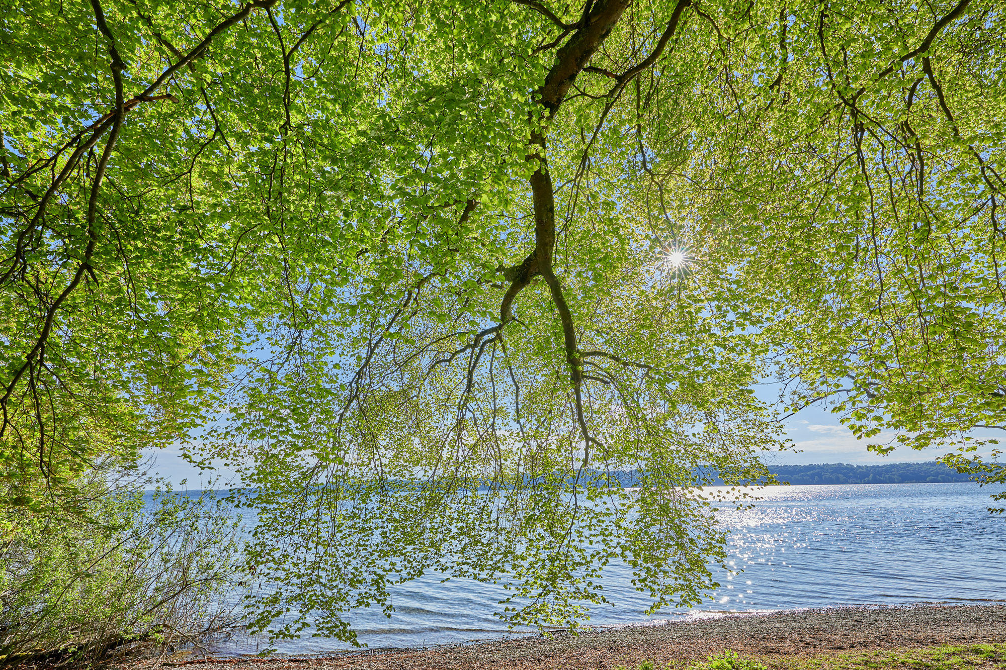 spring at Lake Starnberg